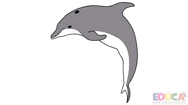 Dibujo de delfín a color - educa.com.bo