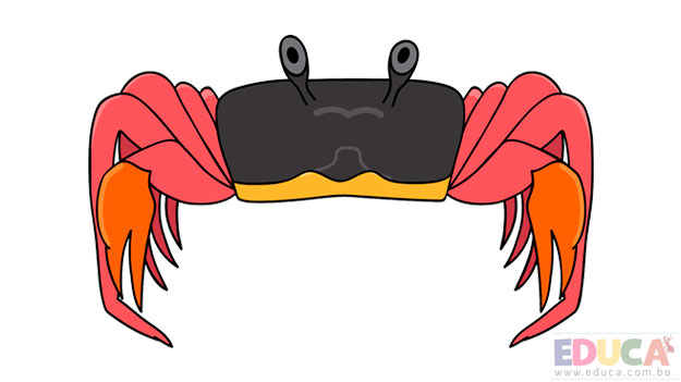 Dibujo de cangrejo - educa.com.bo