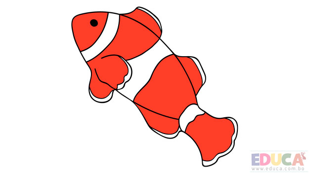 Dibujo de pez payaso a color - educa.com.bo