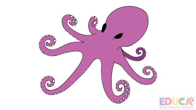 Dibujo de pulpo a color - educa.com.bo