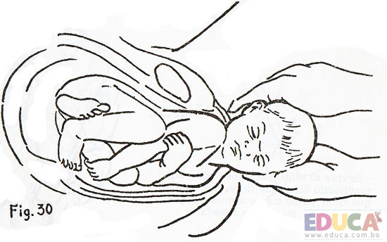 Manual guía de enfermería - Acciones del auxiliar de enfermería durante el parto, Educa.com.bo