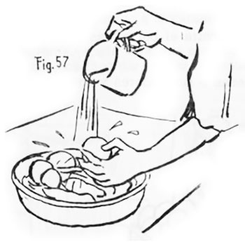 Manual Guía de la Auxiliar de Enfermería en área rural - Mejoramiento de medio ambiente, Mercados y ferias - Educa.com.bo