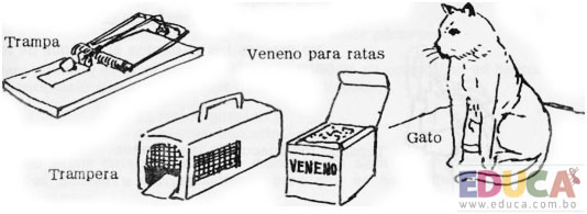 Manual Guía de la Auxiliar de Enfermería en área rural - Mejoramiento de medio ambiente, Control de roedores - Educa.com.bo