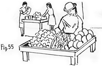 Manual Guía de la Auxiliar de Enfermería en área rural - Mejoramiento de medio ambiente, Mercados y ferias - Educa.com.bo