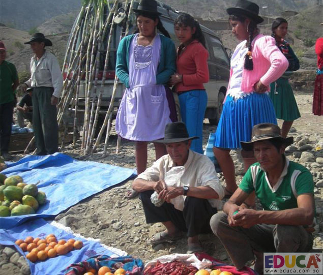 Actividades económicas municipio de Incahuasi - Provincia Nor Cinti - Chuquisaca, Bolivia