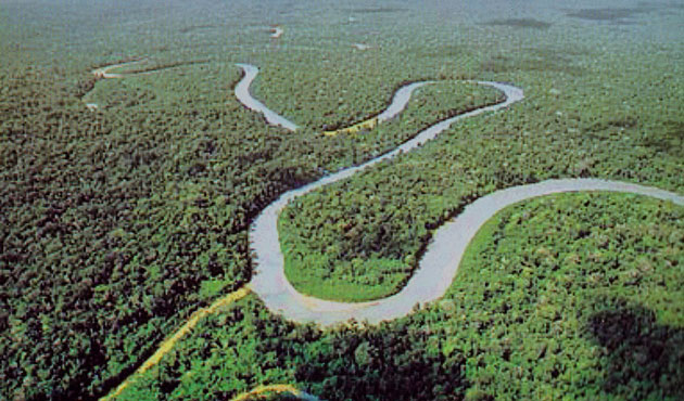 Datos Generales de Pando - Cobija jardín amazónico Datos Generales de Pando - Cobija jardín amazónico