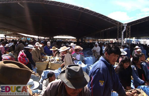 Actividades económicas, municipio de Tiraque - Provincia Tiraque - Cochabamba, Bolivia
