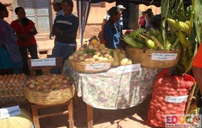 Actividades económicas, municipio Las carreras - Sur Cinti - Chuquisaca, Bolivia