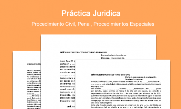 Práctica Jurídica - Memoriales - Formatos
