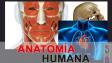Temas de Anatomía Humana - Pre Universitario