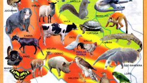 Mapa Fauna del Departamento de Cochabamba - Mapas de Bolivia
