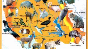 Mapa Fauna del Departamento de Oruro - Mapas de Bolivia