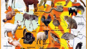 Mapa Fauna del Departamento de Potosí - Mapas de Bolivia