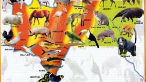 Mapa Fauna del Departamento de Tarija - Mapas de Bolivia