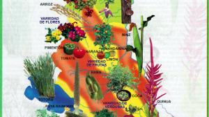 Mapa Flora del Departamento de La Paz - Mapas de Bolivia