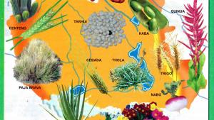 Mapa Flora del Departamento de Oruro - Mapas de Bolivia