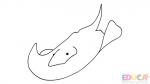 Dibujo de mantarraya para colorear - educa.com.bo