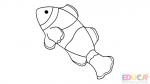 Dibujo de pez payaso para colorear - educa.com.bo