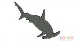 Dibujo de tiburón martillo a color - educa.com.bo