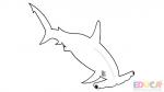 Dibujo de tiburon martillo para colorear - educa.com.bo