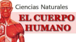 banner Ciencias Naturales - El Cuerpo Humano banner Ciencias Naturales - El Cuerpo Humano